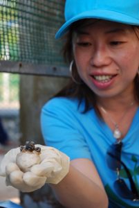 Launched the first formal CSR programme,                              Meet a Need